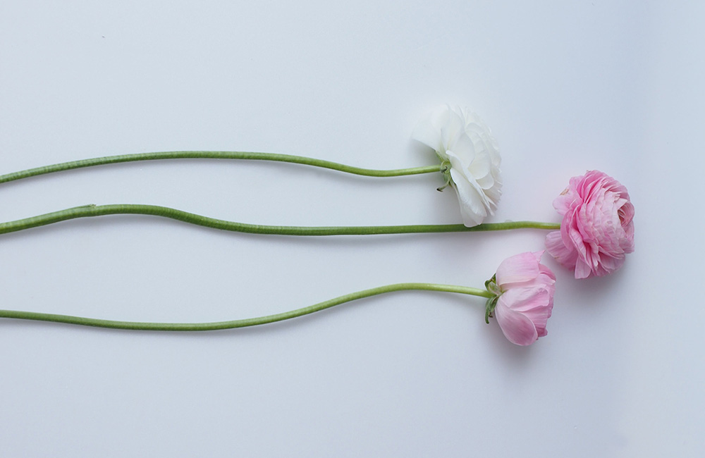 規格外の花を買い取り、チャンスフラワーに